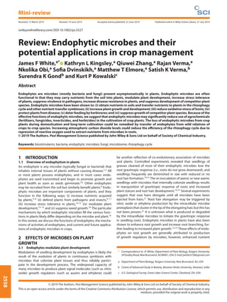 2558
Mini-review
Received: 15 March 2019 Revised: 19 June 2019 Accepted article published: 22 June 2019 Published online in Wiley Online Library: 27 July 2019
(wileyonlinelibrary.com) DOI 10.1002/ps.5527
Review: Endophytic microbes and their
potential applications in crop management
James F White,a* Kathryn L Kingsley,a Qiuwei Zhang,a Rajan Verma,a
Nkolika Obi,a Soﬁa Dvinskikh,a Matthew T Elmore,a Satish K Verma,b
Surendra K Gondb and Kurt P Kowalskic
Abstract
Endophytes are microbes (mostly bacteria and fungi) present asymptomatically in plants. Endophytic microbes are often
functional in that they may carry nutrients from the soil into plants, modulate plant development, increase stress tolerance
of plants, suppress virulence in pathogens, increase disease resistance in plants, and suppress development of competitor plant
species. Endophytic microbes have been shown to: (i) obtain nutrients in soils and transfer nutrients to plants in the rhizophagy
cycleandothernutrient-transfersymbioses; (ii)increaseplantgrowthanddevelopment; (iii)reduceoxidativestressofhosts; (iv)
protect plants from disease; (v) deter feeding by herbivores; and (vi) suppress growth of competitor plant species. Because of the
eﬀective functions of endophytic microbes, we suggest that endophytic microbes may signiﬁcantly reduce use of agrochemicals
(fertilizers, fungicides, insecticides, and herbicides) in the cultivation of crop plants. The loss of endophytic microbes from crop
plants during domestication and long-term cultivation could be remedied by transfer of endophytes from wild relatives of
crops to crop species. Increasing atmospheric carbon dioxide levels could reduce the eﬃciency of the rhizophagy cycle due to
repression of reactive oxygen used to extract nutrients from microbes in roots.
© 2019 The Authors. Pest Management Science published by John Wiley & Sons Ltd on behalf of Society of Chemical Industry.
Keywords: biostimulants; bacteria; endophytic microbes; fungi; microbiome; rhizophagy cycle
1 INTRODUCTION
1.1 Overview of endophytism in plants
An endophyte is any microbe (typically fungal or bacterial) that
inhabits internal tissues of plants without causing disease.1,2
All
or most plants possess endophytes, and in most cases endo-
phytes are seed transmitted and begin to promote growth and
plant health as soon as seeds germinate.3,4
Other endophytes
may be recruited from the soil but similarly beneﬁt plants.4
Endo-
phytic microbes are important components of plants, and they
function in the following ways: (i) increase nutrients acquired
by plants,5–8
(ii) defend plants from pathogens and insects,9–11
(iii) increase stress tolerance in plants,12,13
(iv) modulate plant
development,13–15
and (v) suppress weed growth.16
The particular
mechanisms by which endophytic microbes ﬁll the various func-
tions in plants likely diﬀer depending on the microbe and plant.16
In this review, we discuss the functions of endophytes, the mecha-
nisms of activities of endophytes, and current and future applica-
tions of endophytic microbes in crops.
2 EFFECTS OF MICROBES ON PLANT
GROWTH
2.1 Endophytes modulate plant development
Modulation of seedling development by endophytes is likely the
result of the evolution of plants in continuous symbiosis with
microbes that colonize plant tissues and thus reliably partici-
pate in the development process. The widespread capacity of
many microbes to produce plant signal molecules (such as nitric
oxide) growth regulators (such as auxins and ethylene) could
be another reﬂection of co-evolutionary association of microbes
and plants. Controlled experiments revealed that seedlings of
grasses cleaned of most of their endophytic microbes lose the
root gravitropic response (i.e., roots do not grow downward), and
seedlings frequently are diminished in size with reduced or no
root hair formation.14,15
The re-inoculation of axenic or near axenic
seedlings with microbes that internally colonize seedlings results
in reacquisition of gravitropic response of roots and increased
plant stature and root hair development.14,15
Several experiments
suggest that root hairs elongate until all microbes have been
ejected from hairs.21
Root hair elongation may be triggered by
nitric oxide or ethylene production by the intracellular microbe
protoplaststhatclusterinthetipoftheelongatinghair,butthishas
not been proven.21
It is unknown what is produced or degraded
by the intracellular microbes to initiate the gravitropic response
in seedling roots. Endophytic microbes in plants have also been
shown to enhance root growth and increase root branching, fur-
ther leading to increased plant growth.1,2,13
These eﬀects of endo-
phytes on root growth are generally attributed to production
of growth regulators by microbes; however, enhanced nutrient
∗
Correspondence to: JF White, Department of Plant Biology, Rutgers University,
59DudleyRoad,NewBrunswick,NJ08901,USA.E-mail:jwhite3728@gmail.com
a Department of Plant Biology, Rutgers University, New Brunswick, NJ, USA
b Centre of Advanced Study in Botany, Banaras Hindu University, Varanasi, India
c U.S. Geological Survey, Great Lakes Science Center, Cleveland, OH, USA
© 2019 The Authors. Pest Management Science published by John Wiley & Sons Ltd on behalf of Society of Chemical Industry.
This is an open access article under the terms of the Creative Commons Attribution License, which permits use, distribution and reproduction in any
medium, provided the original work is properly cited.
 