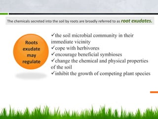 the soil microbial community in their
immediate vicinity
cope with herbivores
encourage beneficial symbioses
change the chemical and physical properties
of the soil
inhibit the growth of competing plant species
Roots
exudate
may
regulate
The chemicals secreted into the soil by roots are broadly referred to as root exudates.
 
