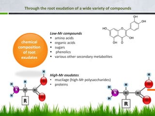 chemical
composition
of root
exudates
Low-Mr compounds
 amino acids
 organic acids
 sugars
 phenolics
 various other secondary metabolites
High-Mr exudates
• mucilage (high-Mr polysaccharides)
• proteins
Through the root exudation of a wide variety of compounds
 