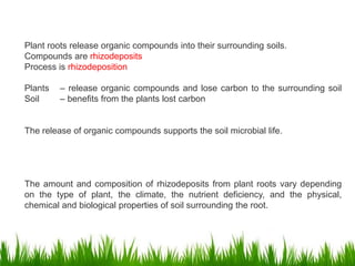 Plant roots release organic compounds into their surrounding soils.
Compounds are rhizodeposits
Process is rhizodeposition
Plants – release organic compounds and lose carbon to the surrounding soil
Soil – benefits from the plants lost carbon
The release of organic compounds supports the soil microbial life.
The amount and composition of rhizodeposits from plant roots vary depending
on the type of plant, the climate, the nutrient deficiency, and the physical,
chemical and biological properties of soil surrounding the root.
 