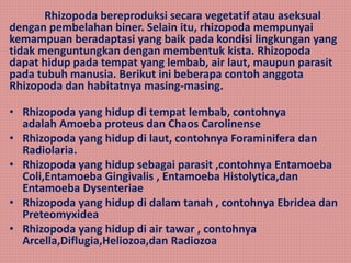 Rhizopoda bereproduksi secara vegetatif atau aseksual
dengan pembelahan biner. Selain itu, rhizopoda mempunyai
kemampuan beradaptasi yang baik pada kondisi lingkungan yang
tidak menguntungkan dengan membentuk kista. Rhizopoda
dapat hidup pada tempat yang lembab, air laut, maupun parasit
pada tubuh manusia. Berikut ini beberapa contoh anggota
Rhizopoda dan habitatnya masing-masing.
• Rhizopoda yang hidup di tempat lembab, contohnya
adalah Amoeba proteus dan Chaos Carolinense
• Rhizopoda yang hidup di laut, contohnya Foraminifera dan
Radiolaria.
• Rhizopoda yang hidup sebagai parasit ,contohnya Entamoeba
Coli,Entamoeba Gingivalis , Entamoeba Histolytica,dan
Entamoeba Dysenteriae
• Rhizopoda yang hidup di dalam tanah , contohnya Ebridea dan
Preteomyxidea
• Rhizopoda yang hidup di air tawar , contohnya
Arcella,Diflugia,Heliozoa,dan Radiozoa
 