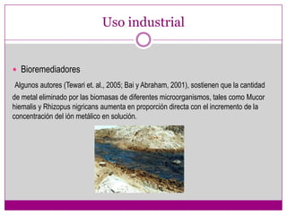Uso industrial


 Bioremediadores
Algunos autores (Tewari et. al., 2005; Bai y Abraham, 2001), sostienen que la cantidad
de metal eliminado por las biomasas de diferentes microorganismos, tales como Mucor
hiemalis y Rhizopus nigricans aumenta en proporción directa con el incremento de la
concentración del ión metálico en solución.
 