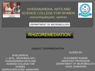RHIZOREMEDIATION
DEPARTMENT OF MICROBIOLOGY
M.KEJAPRIYA,
I – M.Sc., MICROBIOLOGY,
VIVEKANANDHA ARTS AND
SCIENCE COLLEGE FOR
WOMEN,
VEERACHIPALAYAM, SANKAGIRI.
SUBJECT: BIOREMEDIATION
GUIDED BY:
Dr.R.DINESH KUMAR,
ASSISTANT PROFESSOR,
DEPARTMENT OF MICROBIOLOGY
VIAAS, SANKAGIRI.
 