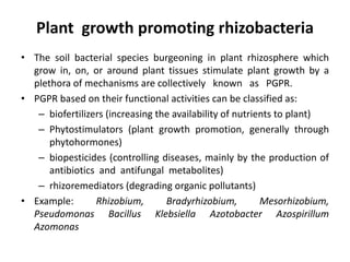 Rhizosphere.pdf meaning importance...... | PDF