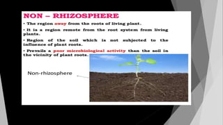 Positive effect of Rhizospheric microorganisms on Plants
 Rhizospheric microorganisms play an important role in the ecolo...