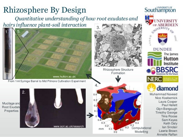 Rhizosphere by Design Spring 2016