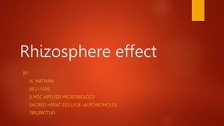 Rhizosphere effect
BY:
N. MATHAN
BP211508
II MSC APPLIED MICROBIOLOGY
SACRED HERAT COLLEGE (AUTONOMOUS)
TIRUPATTUR
 