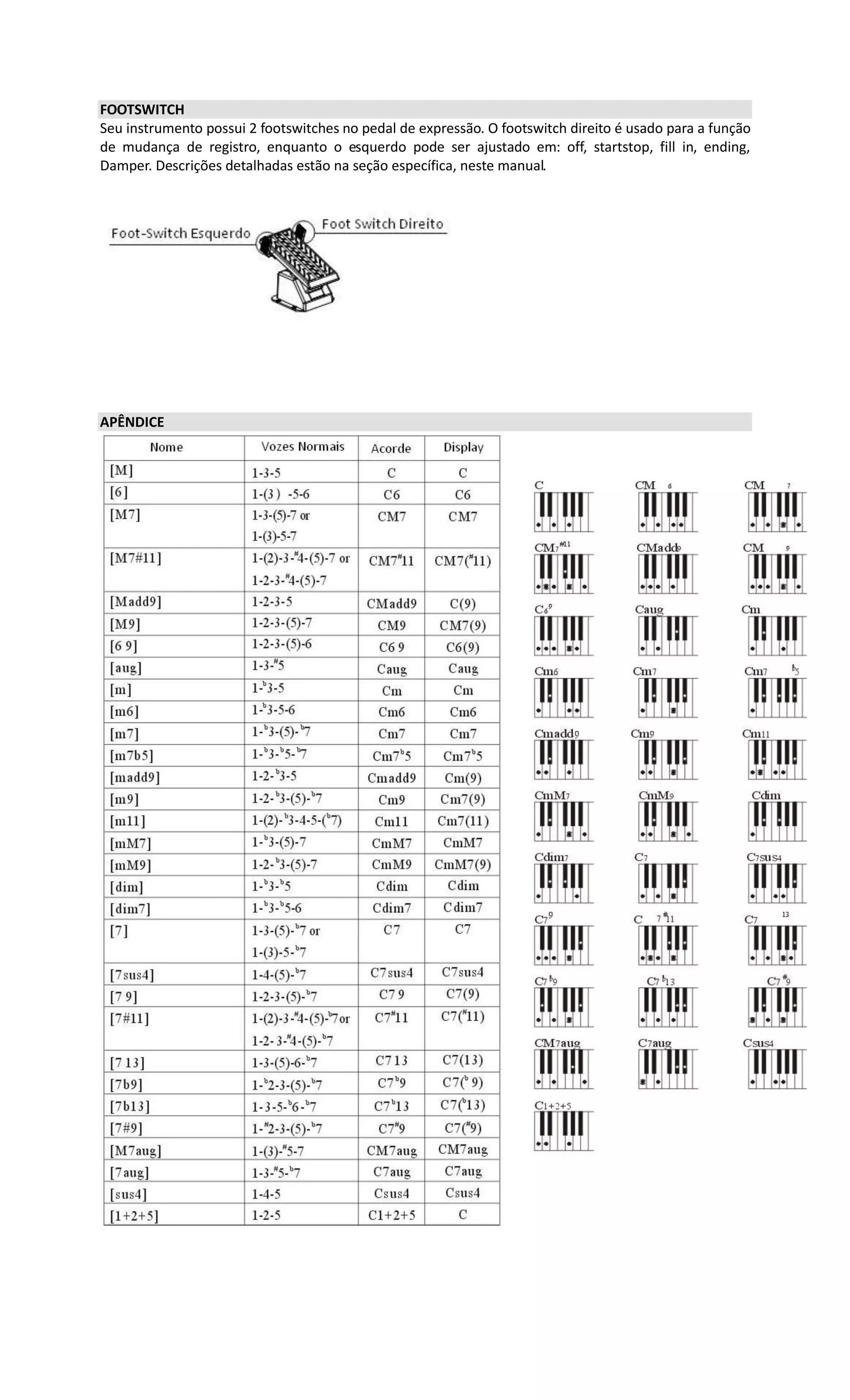 FOOTSWITCH
Seu instrumento possui 2 footswitches no pedal de expressão. O footswitch direito é usado para a função
de mudança de registro, enquanto o esquerdo pode ser ajustado em: off, startstop, fill in, ending,
Damper. Descrições detalhadas estão na seção específica, neste manual.
APÊNDICE
 