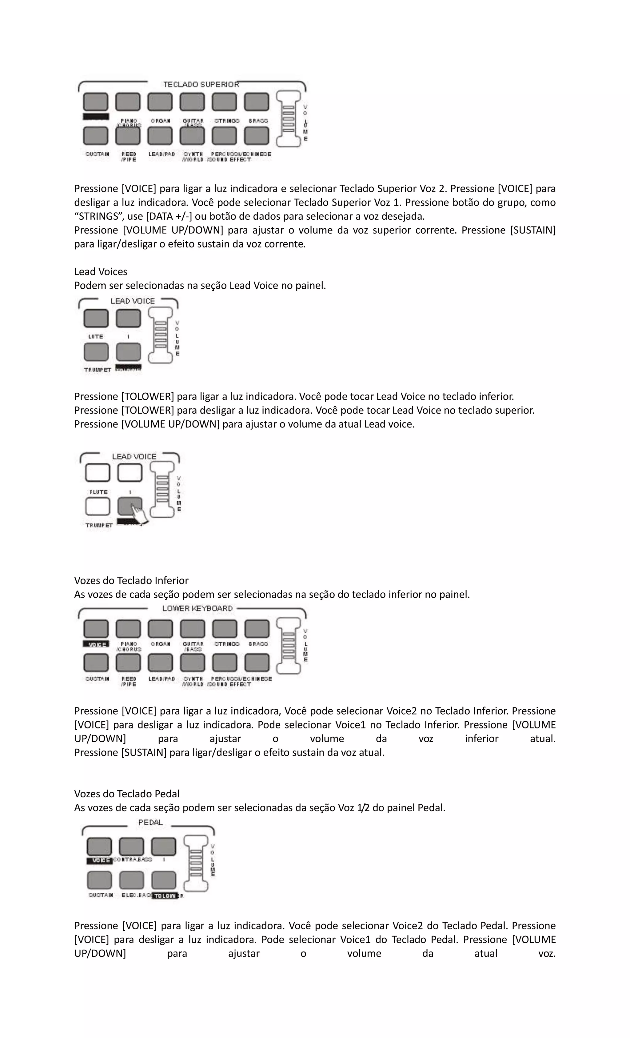 Pressione [VOICE] para ligar a luz indicadora e selecionar Teclado Superior Voz 2. Pressione [VOICE] para
desligar a luz indicadora. Você pode selecionar Teclado Superior Voz 1. Pressione botão do grupo, como
“STRINGS”, use [DATA +/-] ou botão de dados para selecionar a voz desejada.
Pressione [VOLUME UP/DOWN] para ajustar o volume da voz superior corrente. Pressione [SUSTAIN]
para ligar/desligar o efeito sustain da voz corrente.
Lead Voices
Podem ser selecionadas na seção Lead Voice no painel.
Pressione [TOLOWER] para ligar a luz indicadora. Você pode tocar Lead Voice no teclado inferior.
Pressione [TOLOWER] para desligar a luz indicadora. Você pode tocar Lead Voice no teclado superior.
Pressione [VOLUME UP/DOWN] para ajustar o volume da atual Lead voice.
Vozes do Teclado Inferior
As vozes de cada seção podem ser selecionadas na seção do teclado inferior no painel.
Pressione [VOICE] para ligar a luz indicadora, Você pode selecionar Voice2 no Teclado Inferior. Pressione
[VOICE] para desligar a luz indicadora. Pode selecionar Voice1 no Teclado Inferior. Pressione [VOLUME
UP/DOWN] para ajustar o volume da voz inferior atual.
Pressione [SUSTAIN] para ligar/desligar o efeito sustain da voz atual.
Vozes do Teclado Pedal
As vozes de cada seção podem ser selecionadas da seção Voz 1/2 do painel Pedal.
Pressione [VOICE] para ligar a luz indicadora. Você pode selecionar Voice2 do Teclado Pedal. Pressione
[VOICE] para desligar a luz indicadora. Pode selecionar Voice1 do Teclado Pedal. Pressione [VOLUME
UP/DOWN] para ajustar o volume da atual voz.
 