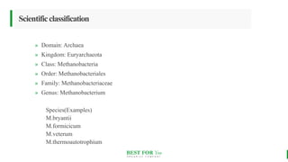 BEST FOR You
O R G A N I C S C O M P A N Y
Scientificclassification
» Domain: Archaea
» Kingdom: Euryarchaeota
» Class: Methanobacteria
» Order: Methanobacteriales
» Family: Methanobacteriaceae
» Genus: Methanobacterium
Species(Examples)
M.bryantii
M.formicicum
M.veterum
M.thermoautotrophium
 