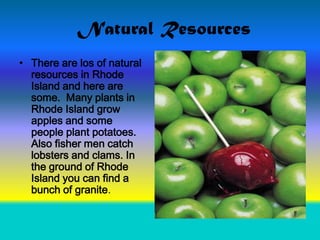 Natural Resources
• There are los of natural
  resources in Rhode
  Island and here are
  some. Many plants in
  Rhode Island grow
  apples and some
  people plant potatoes.
  Also fisher men catch
  lobsters and clams. In
  the ground of Rhode
  Island you can find a
  bunch of granite.
 