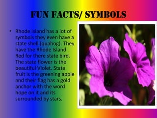 Fun Facts/ Symbols
• Rhode Island has a lot of
  symbols they even have a
  state shell (quahog). They
  have the Rhode Island
  Red for there state bird.
  The state flower is the
  beautiful Violet. State
  fruit is the greening apple
  and their flag has a gold
  anchor with the word
  hope on it and its
  surrounded by stars.
 