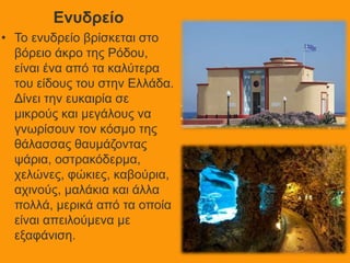 Ενυδρείο
• Το ενυδρείο βρίσκεται στο
βόρειο άκρο της Ρόδου,
είναι ένα από τα καλύτερα
του είδους του στην Ελλάδα.
Δίνει την ευκαιρία σε
μικρούς και μεγάλους να
γνωρίσουν τον κόσμο της
θάλασσας θαυμάζοντας
ψάρια, οστρακόδερμα,
χελώνες, φώκιες, καβούρια,
αχινούς, μαλάκια και άλλα
πολλά, μερικά από τα οποία
είναι απειλούμενα με
εξαφάνιση.
 