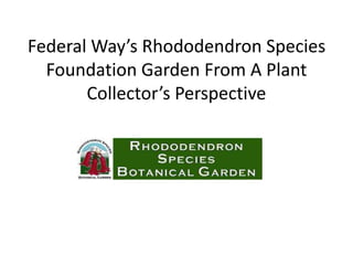 Federal Way’s Rhododendron Species
Foundation Garden From A Plant
Collector’s Perspective
 