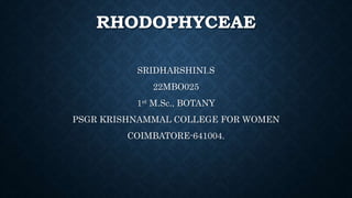 RHODOPHYCEAE
SRIDHARSHINI.S
22MBO025
1st M.Sc., BOTANY
PSGR KRISHNAMMAL COLLEGE FOR WOMEN
COIMBATORE-641004.
 