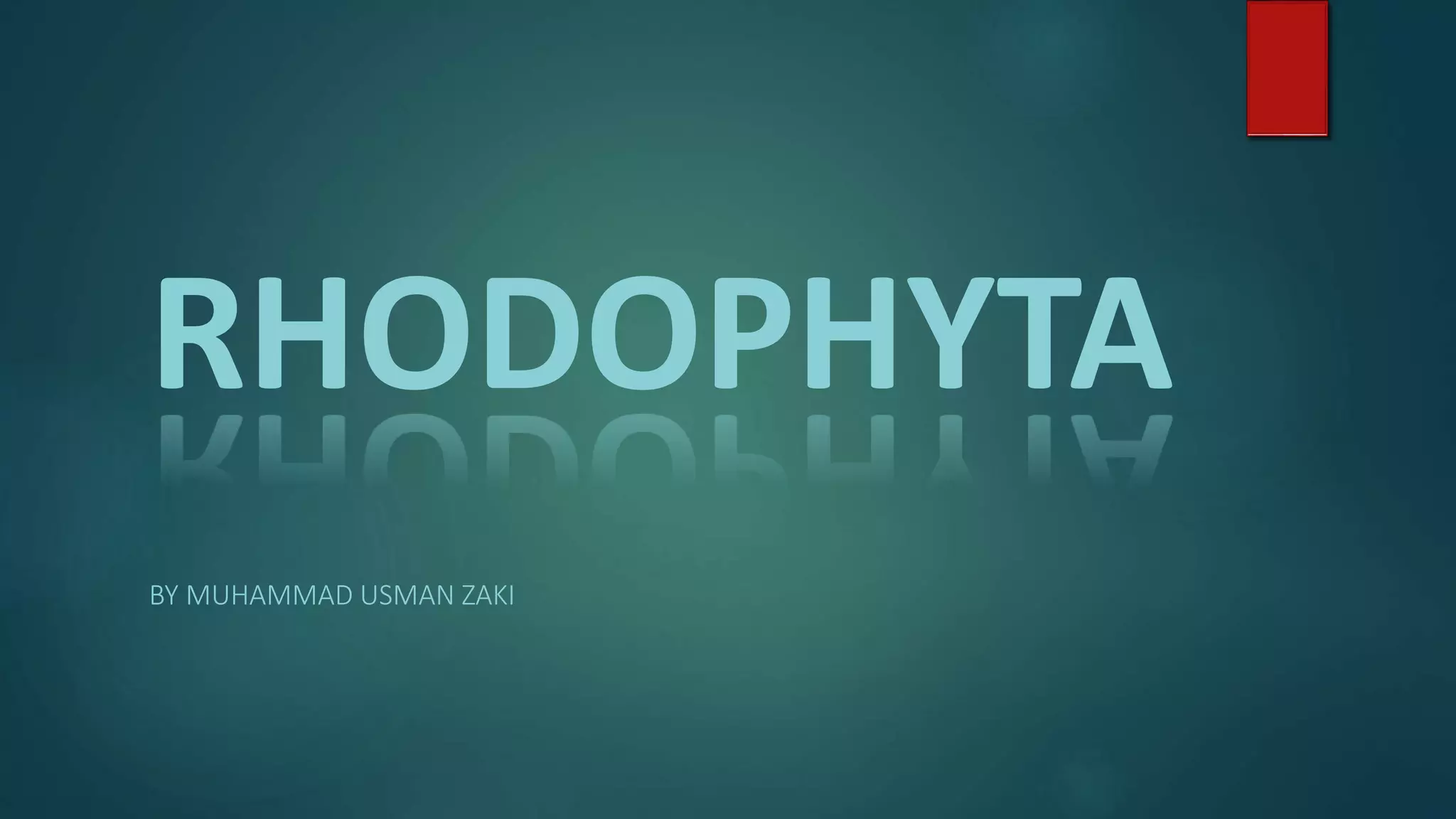 RHODOPHYTA . Occurrence And General Structure Of Rhodophyta | PPT
