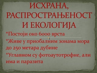 црвене алге (Rhodophyta)