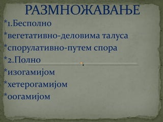 црвене алге (Rhodophyta)