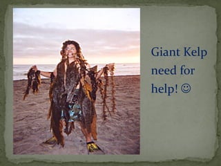 црвене алге (Rhodophyta)