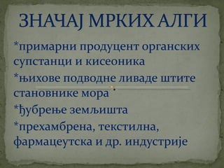 црвене алге (Rhodophyta)