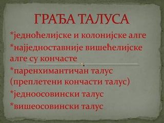 црвене алге (Rhodophyta)