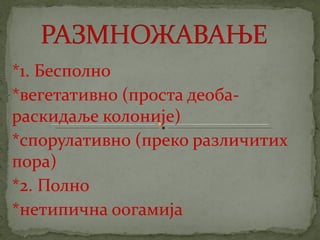 црвене алге (Rhodophyta)