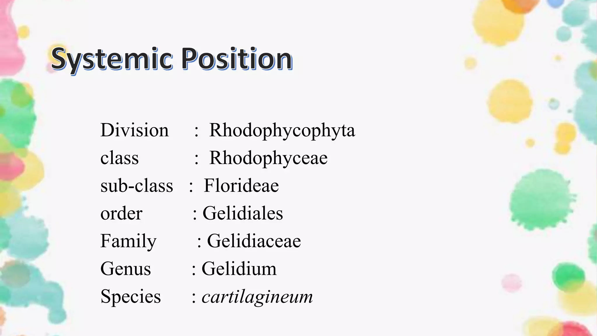Rhodophyta | PPT
