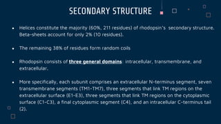 Rhodopsin | PPTX