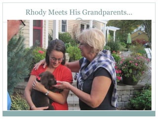 Rhody Meets His Grandparents…
 