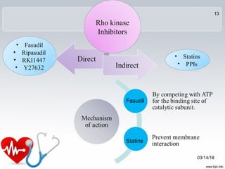 • Fasudil
• Ripasudil
• RKI1447
• Y27632
• Statins
• PPIs
Rho kinase
Inhibitors
Fasudil
Statins
03/14/18
13
 