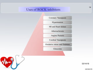 Uses of ROCK inhibitors
03/14/18
14
 