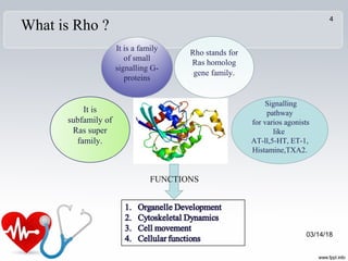 What is Rho ?
Rho stands for
Ras homolog
gene family.
It is a family
of small
signalling G-
proteins
It is
subfamily of
Ras super
family.
Signalling
pathway
for varios agonists
like
AT-ll,5-HT, ET-1,
Histamine,TXA2.
FUNCTIONS
03/14/18
4
 