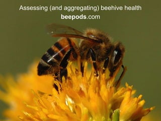 Assessing (and aggregating) beehive health
              beepods.com
 