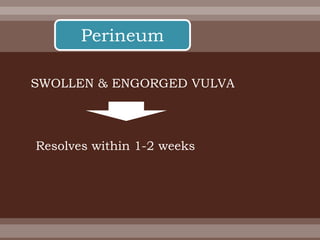 Perineum
SWOLLEN & ENGORGED VULVA
Resolves within 1-2 weeks
 