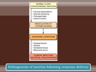 Pathogenesis of metritis following cesarean delivery
 