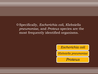 Specifically, Escherichia coli, Klebsiella
pneumoniae, and Proteus species are the
most frequently identified organisms.
Escherichia coli
Proteus
Klebsiella pneumoniae
 
