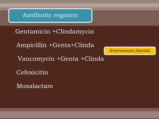 Gentamicin +Clindamycin
Ampicillin +Genta+Clinda
Vancomycin +Genta +Clinda
Cefoxicitin
Moxalactam
Antibiotic regimen
Enterococcus faecalis
 