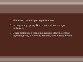  The most common pathogen is E coli.
 In pregnancy, group B streptococci are a major
pathogen.
 Other causative organisms include Staphylococcus
saprophyticus, E faecalis, Proteus, and K pneumoniae.
 