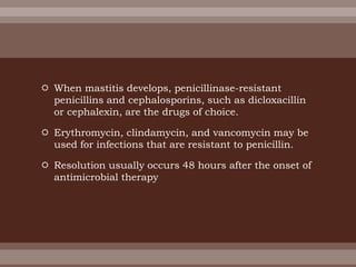 When mastitis develops, penicillinase-resistant
penicillins and cephalosporins, such as dicloxacillin
or cephalexin, are the drugs of choice.
 Erythromycin, clindamycin, and vancomycin may be
used for infections that are resistant to penicillin.
 Resolution usually occurs 48 hours after the onset of
antimicrobial therapy
 