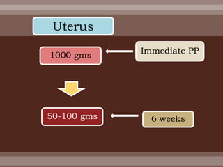Uterus
Immediate PP
6 weeks50-100 gms
1000 gms
 