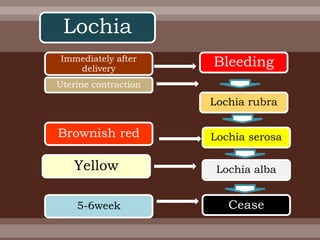 Immediately after
delivery
Lochia
Lochia alba
Cease
Bleeding
Lochia rubra
Lochia serosa
Uterine contraction
Yellow
Brownish red
5-6week
 