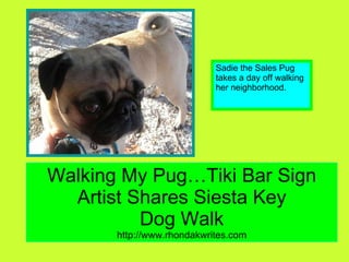 Walking My Pug…Tiki Bar Sign Artist Shares Siesta Key Dog Walk http://www.rhondakwrites.com Sadie the Sales Pug takes a day off walking her neighborhood. 