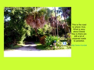 . This is the road to where I live. What is sexy about Siesta Key is there are still a lot of unpaved roads to paradise. h...