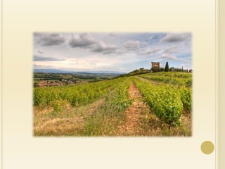 Rhone Valley