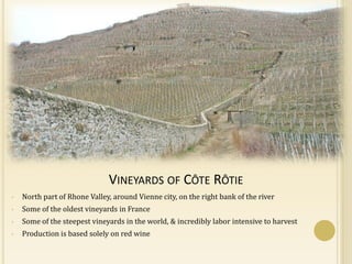 VINEYARDS OF CÔTE RÔTIE
•   North part of Rhone Valley, around Vienne city, on the right bank of the river
•   Some of the oldest vineyards in France
•   Some of the steepest vineyards in the world, & incredibly labor intensive to harvest
•   Production is based solely on red wine
 