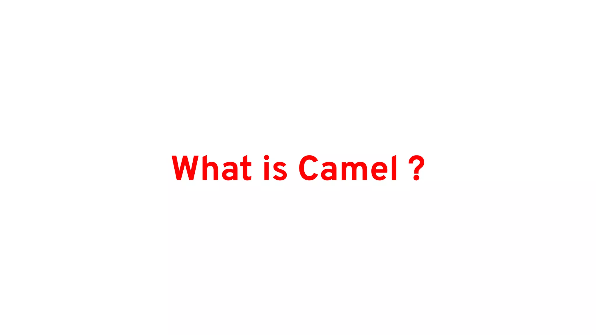 What is Camel ?
 
