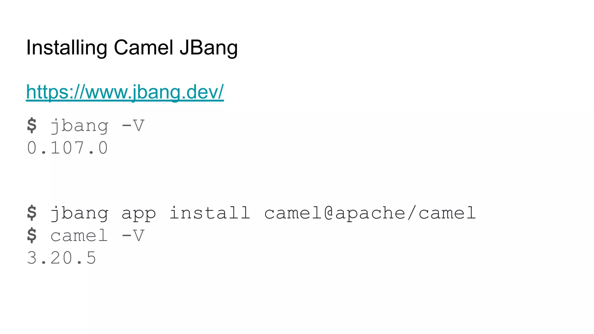 Installing Camel JBang
https://www.jbang.dev/
$ jbang -V
0.107.0
$ jbang app install camel@apache/camel
$ camel -V
3.20.5
 