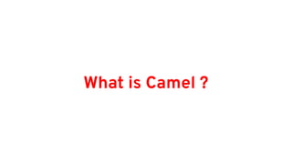 What is Camel ?
 