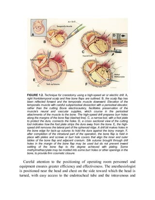 Rhoton Cranial Anatomy and Surgical Approaches 2023.pdf