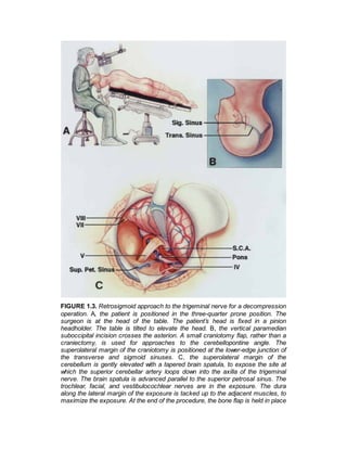 Rhoton Cranial Anatomy and Surgical Approaches 2023.pdf